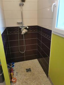 een badkamer met een douche en een bruine tegelmuur bij La maison de Marie 