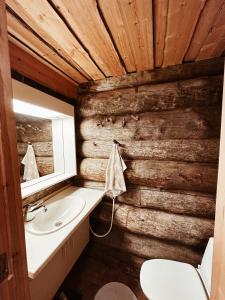 a bathroom with a sink and a wooden wall at Chalet Luoston Lustitupa 3 in Luosto