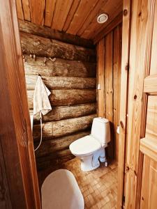 a bathroom with a toilet in a wooden cabin at Chalet Luoston Lustitupa 3 in Luosto