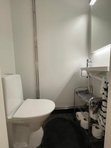 een witte badkamer met een toilet en een douche bij Brand new 1 room cottage with sauna in Rovaniemi