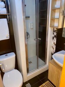 a bathroom with a shower and a toilet and a sink at NevSki Apartments in Kopaonik