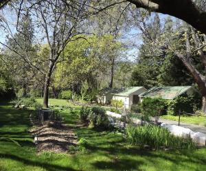 un jardín con una casa, hierba y árboles en Backyard Garden Oasis, en Middletown