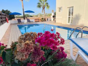 a swimming pool with flowers in front of a house at Sunset Pearl Holiday Villa in Ayia Napa