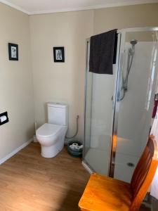 a bathroom with a toilet and a glass shower at The Parklet in Patangata +28 photos