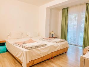 a bedroom with a large bed and a large window at Apartments Picioski in Peštani