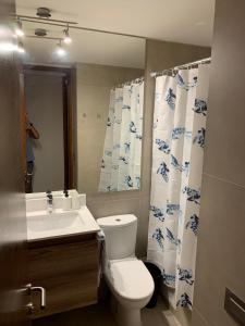 a bathroom with a toilet and a sink and a mirror at Habitación 2 camas + baño privado en Las Condes in Santiago