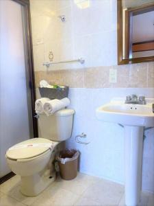 La salle de bains est pourvue de toilettes et d'un lavabo. dans l'établissement Hotel Paraiso Real Plus, à Mineral del Monte