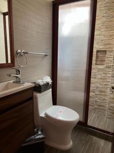 a bathroom with a toilet and a sink and a shower at Hotel Paraiso Real Plus in Mineral del Monte