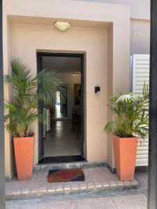 a hallway with two potted plants and a mirror at Casa de Piedra- céntrica in La Rioja