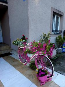 Una bicicleta rosa estacionada frente a un edificio con flores en Apartments Aleksandra Cetinje en Cetinje