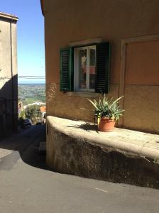 Gallery image of Casa Anna in Castagneto Carducci