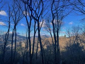 una vista de las montañas a través de los árboles en 4 Pines, en Boone