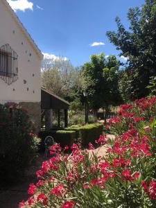 een tuin met roze bloemen naast een gebouw bij Charming Casa Rural El Pedregal 