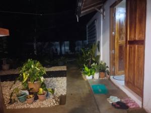 uma vista para um quarto com plantas e uma porta em Ziah's Guest House em San Vicente