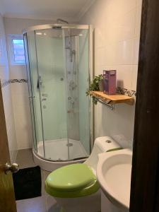 ein Bad mit einer Dusche, einem WC und einem Waschbecken in der Unterkunft Patagonia Tower in Puerto Natales