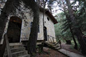 een klein gebouw met trappen in een bos bij El Búho, Sauna, cabañas, camping in San Cristóbal de Las Casas