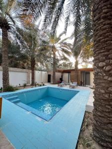 einen Pool in einem Garten mit Palmen in der Unterkunft منتجع ريتام in Al-Hasa