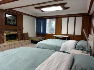 a bedroom with two beds and a fireplace at Green Village B&B in Calgary