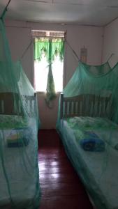 1 dormitorio con 2 camas y una ventana con colchas verdes en BATAD Rita's Mount View Inn and Restaurant, en Banaue