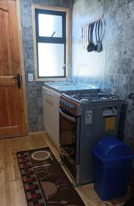 a kitchen with a stove and a sink and a window at Cabaña Los Pajaritos dos de Frutillar in Frutillar