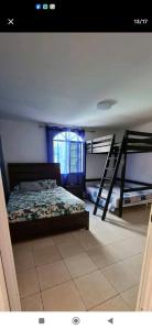 a bedroom with two bunk beds and a ladder at Hospedaje Portobelo in Portobelo