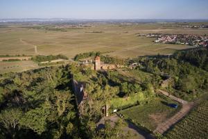 Gallery image of Landhotel Hofgut Battenberg in Battenberg +41 photos