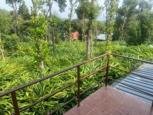 a wooden walkway in a field of plants at Heavenly Stay in Thekkady