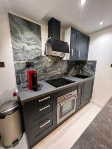 a kitchen with gray cabinets and a stove top oven at Modern studio apartment in West Kensington in London