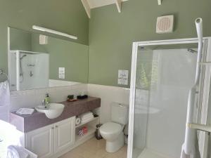 Apollo Bay的住宿－Apple Tree Cottage，浴室配有卫生间、盥洗盆和淋浴。
