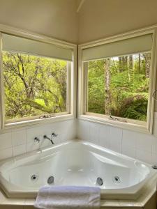 Apollo Bay的住宿－Apple Tree Cottage，带浴缸的浴室和2个窗户