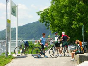 Jízda na kole v ubytování Donau-Rad-Hotel Wachauerhof nebo okolí