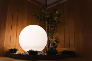 uma luz no canto de uma sala com plantas em 合い宿 くまもと em Kumamoto