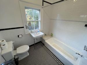 a bathroom with a toilet and a sink and a tub at Tranquil Retreat in Historic Chapelizod in Dublin