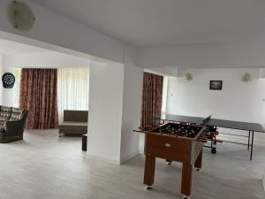 a living room with a pool table and a couch at Cabana Didana in Moneasa