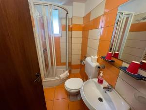 a bathroom with a toilet and a sink and a shower at Cabana Didana in Moneasa