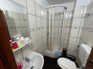 a bathroom with a shower and a toilet and a sink at Cabana Didana in Moneasa +7 photos