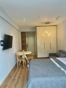 TV a/nebo společenská místnost v ubytování new gudauri redko apartment twins