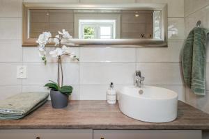 een badkamer met een wastafel en een spiegel bij Løvsangeren 1,5 hour from Oslo - 6 bedrooms - 14 sleeps - Sauna in Nordset +49 foto's