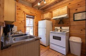 a kitchen with a white refrigerator and a sink at Adelaide's Den cabin in Townsend
