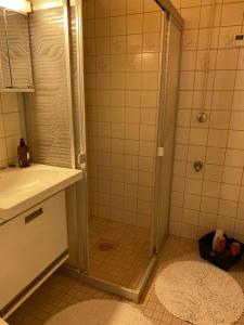 een badkamer met een douche en een wastafel bij Tilava yksiö Niinivaaralla in Joensuu