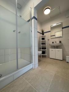 a bathroom with a shower and a sink at Quartier am Haff in Ueckermünde