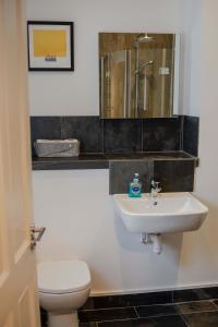 uma casa de banho com um lavatório e um WC em No. 82 Grade II Listed Norwich City Centre Flat em Norwich
