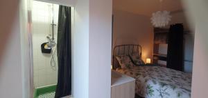 ein Schlafzimmer mit einem Bett und ein Badezimmer mit einer Dusche in der Unterkunft Charmant T2 avec grande terrasse quartier Jardin Massey in Tarbes