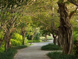 a path through a park with trees on either side at Jumeirah Bali in Uluwatu