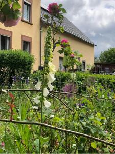 a garden in front of a house with flowers at Steinhagen in Daun