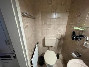 een kleine badkamer met een toilet en een wastafel bij Steinhagen in Daun