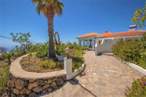 ein Haus mit einer Palme und einem Steinweg in der Unterkunft Villa de las Estrellas in El Paso