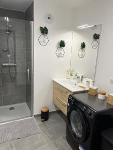 ein Badezimmer mit Dusche und Waschmaschine in der Unterkunft Paradis vue Lac et Montagnes in Annecy