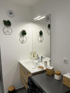 ein Badezimmer mit Waschbecken und Spiegel in der Unterkunft Paradis vue Lac et Montagnes in Annecy