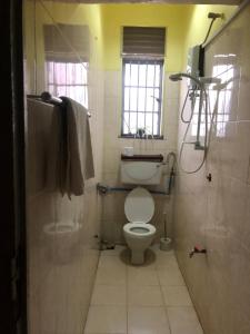 a small bathroom with a toilet and a shower at The apartment house in Mbale